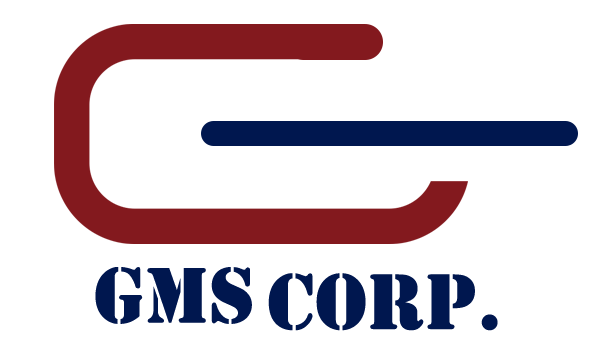 GMS Analysis India